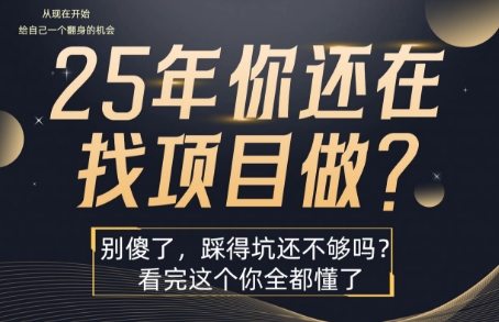 25年，你还在疯狂的找项目吗？别傻了，看完这个你都懂了【揭秘】